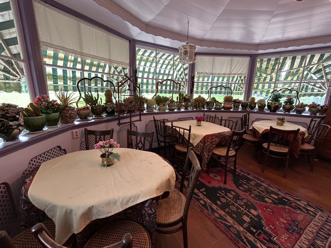Sfeervolle zaal met ronde tafels en planten bij het raam